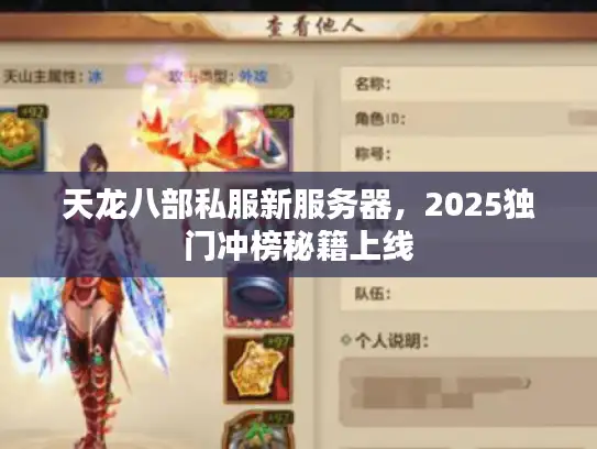 天龙八部私服新服务器,2025独门冲榜秘籍上线 天龙八部私服新服务器,2025独门冲榜秘籍上线
