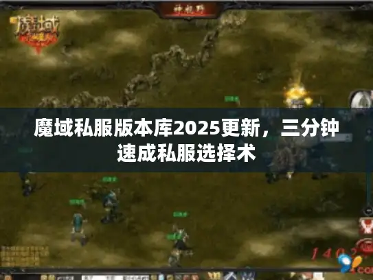 魔域私服版本库2025更新，三分钟速成私服选择术