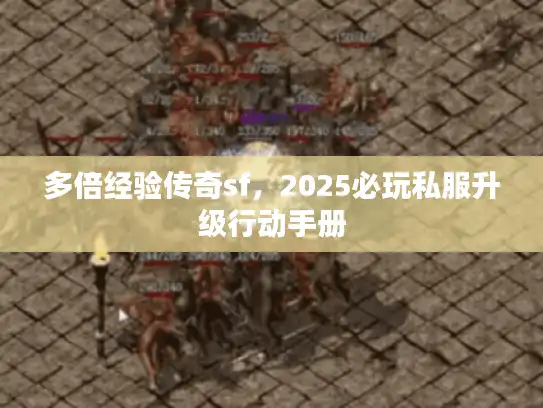 多倍经验传奇sf，2025必玩私服升级行动手册