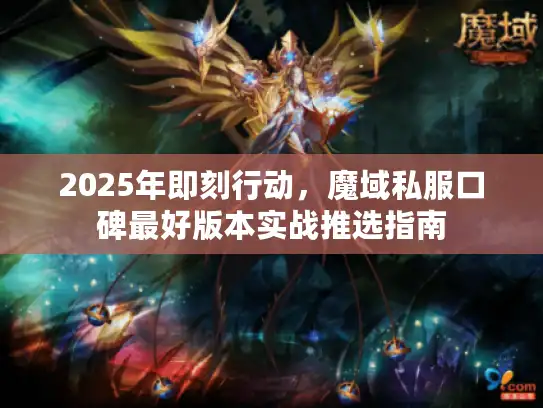 2025年即刻行动，魔域私服口碑最好版本实战推选指南