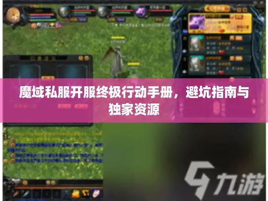 魔域私服开服终极行动手册，避坑指南与独家资源