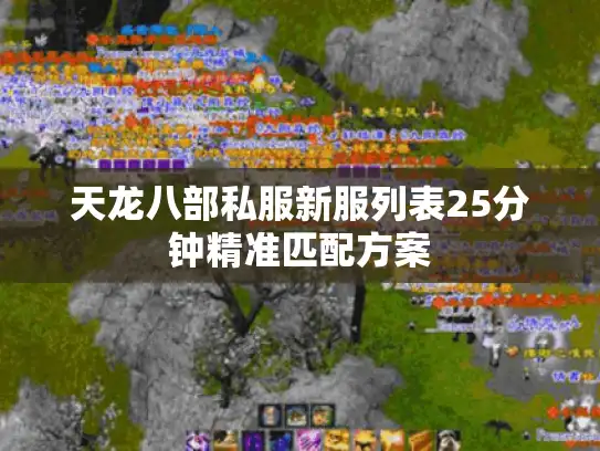 天龙八部私服新服列表25分钟精准匹配方案 天龙八部私服新服列表25分钟精准匹配方案