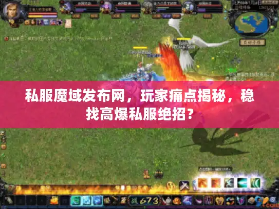 私服魔域发布网，玩家痛点揭秘，稳找高爆私服绝招？