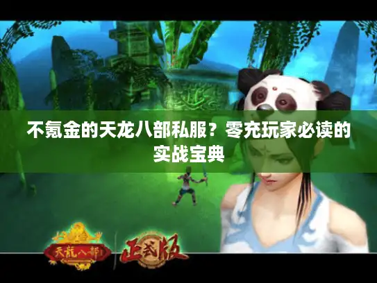 不氪金的天龙八部私服？零充玩家必读的实战宝典