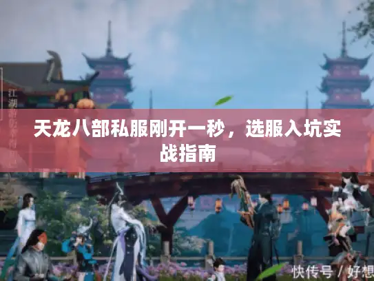 天龙八部私服刚开一秒,选服入坑实战指南 天龙八部私服刚开一秒,选服入坑实战指南