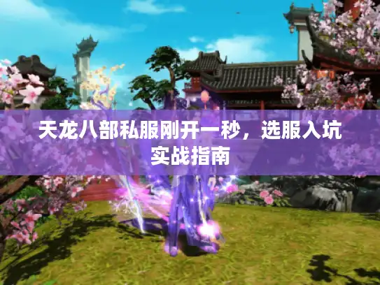 天龙八部私服刚开一秒,选服入坑实战指南 天龙八部私服刚开一秒,选服入坑实战指南