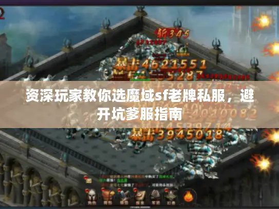 资深玩家教你选魔域sf老牌私服，避开坑爹服指南