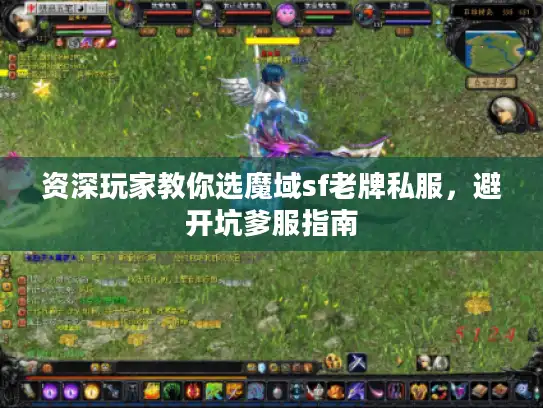 资深玩家教你选魔域sf老牌私服，避开坑爹服指南