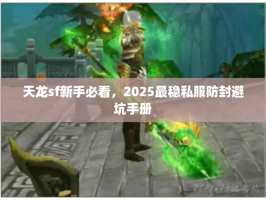 天龙sf新手必看，2025最稳私服防封避坑手册