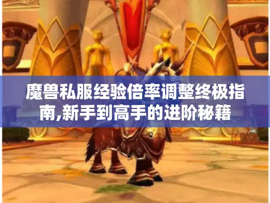 魔兽私服经验倍率调整终极指南,新手到高手的进阶秘籍