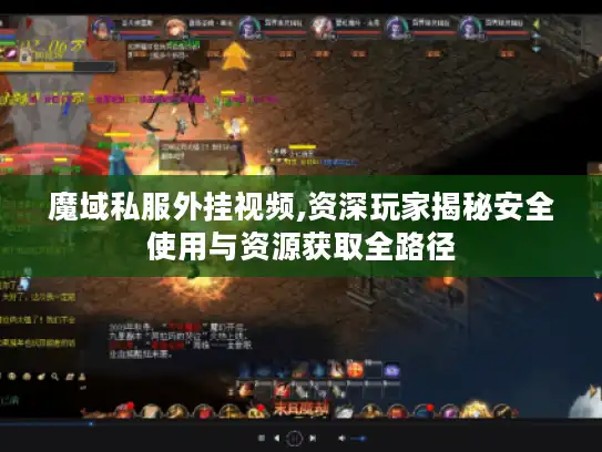 魔域私服外挂视频,资深玩家揭秘安全使用与资源获取全路径