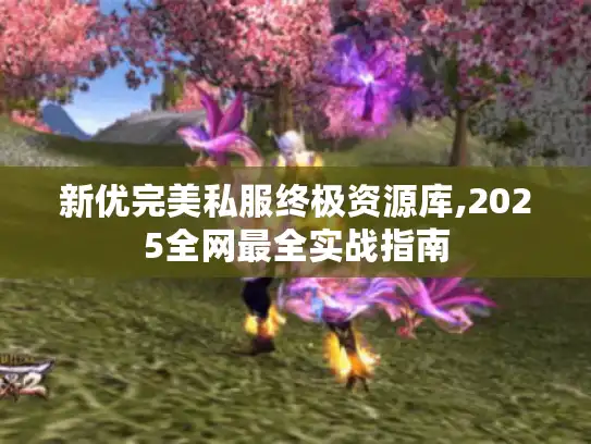 新优完美私服终极资源库,2025全网最全实战指南