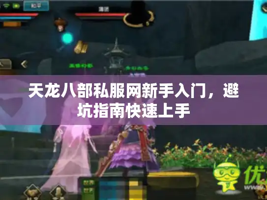 天龙八部私服网新手入门，避坑指南快速上手