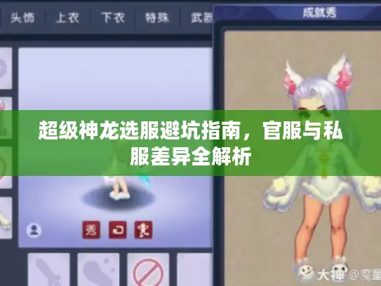超级神龙选服避坑指南，官服与私服差异全解析