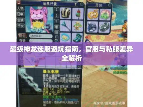 超级神龙选服避坑指南，官服与私服差异全解析