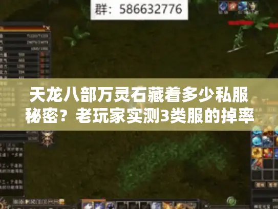 天龙八部万灵石藏着多少私服秘密？老玩家实测3类服的掉率与玩法差异