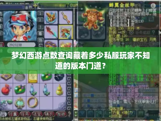 梦幻西游点数查询藏着多少私服玩家不知道的版本门道？