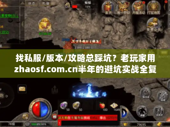 找私服/版本/攻略总踩坑？老玩家用zhaosf.com.cn半年的避坑实战全复盘