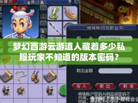 梦幻西游云游道人藏着多少私服玩家不知道的版本密码？