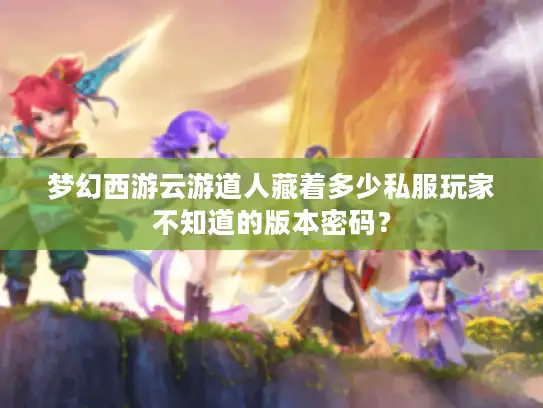 梦幻西游云游道人藏着多少私服玩家不知道的版本密码？