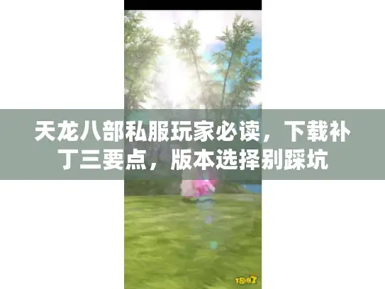 天龙八部私服玩家必读，下载补丁三要点，版本选择别踩坑