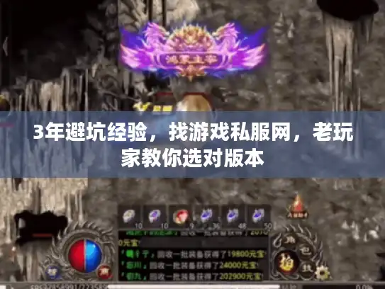 3年避坑经验，找游戏私服网，老玩家教你选对版本