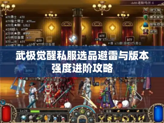 武极觉醒私服选品避雷与版本强度进阶攻略