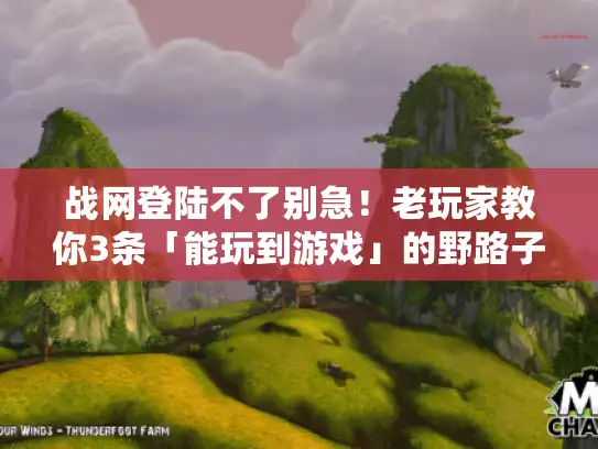 战网登陆不了别急！老玩家教你3条「能玩到游戏」的野路子