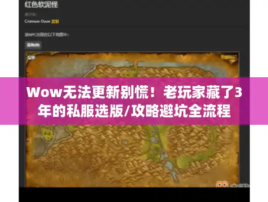 Wow无法更新别慌！老玩家藏了3年的私服选版/攻略避坑全流程
