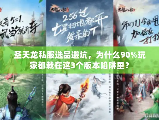 圣天龙私服选品避坑，为什么90%玩家都栽在这3个版本陷阱里？