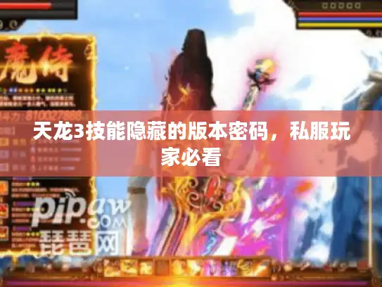 天龙3技能隐藏的版本密码,私服玩家必看 天龙3技能隐藏的版本密码,私服玩家必看