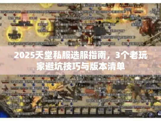 2025天堂私服选服指南,3个老玩家避坑技巧与版本清单 2025天堂私服选服指南,3个老玩家避坑技巧与版本清单