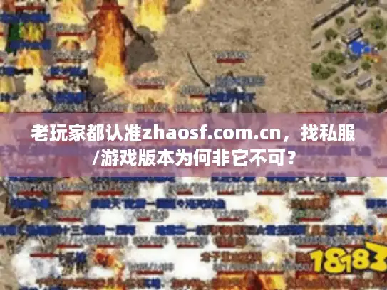老玩家都认准zhaosf.com.cn，找私服/游戏版本为何非它不可？