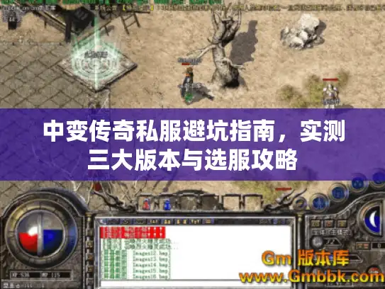 中变传奇私服避坑指南，实测三大版本与选服攻略