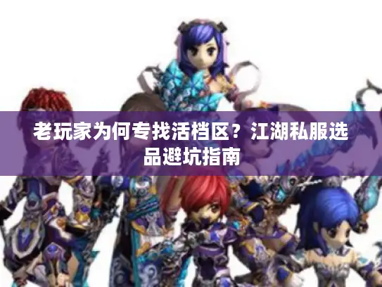 老玩家为何专找活档区？江湖私服选品避坑指南
