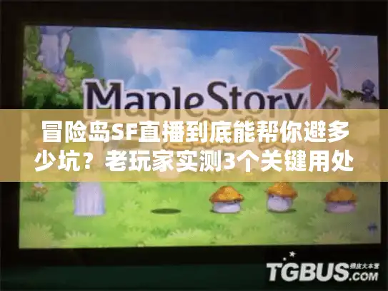 冒险岛SF直播到底能帮你避多少坑？老玩家实测3个关键用处