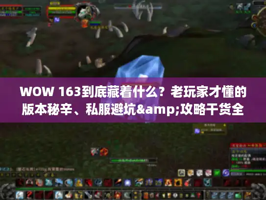WOW 163到底藏着什么？老玩家才懂的版本秘辛、私服避坑&攻略干货全在这