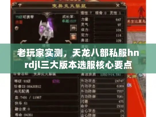 老玩家实测，天龙八部私服hnrdjl三大版本选服核心要点