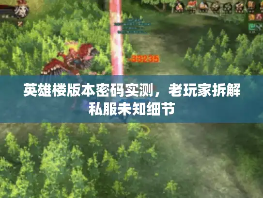 英雄楼版本密码实测,老玩家拆解私服未知细节 英雄楼版本密码实测,老玩家拆解私服未知细节