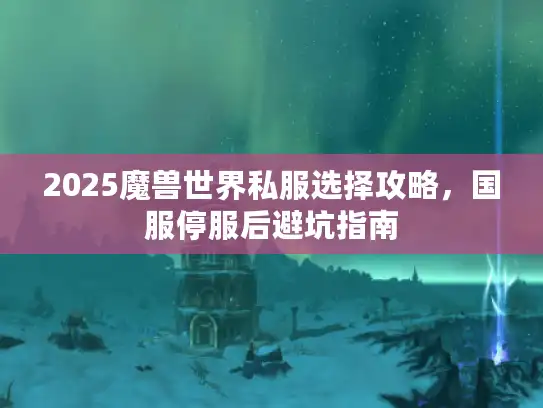 2025魔兽世界私服选择攻略，国服停服后避坑指南