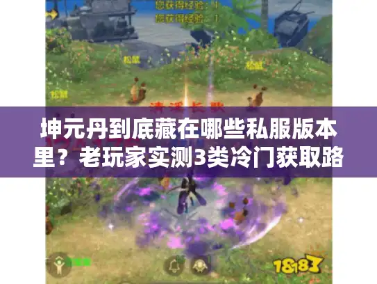 坤元丹到底藏在哪些私服版本里?老玩家实测3类冷门获取路径 坤元丹到底藏在哪些私服版本里?老玩家实测3类冷门获取路径