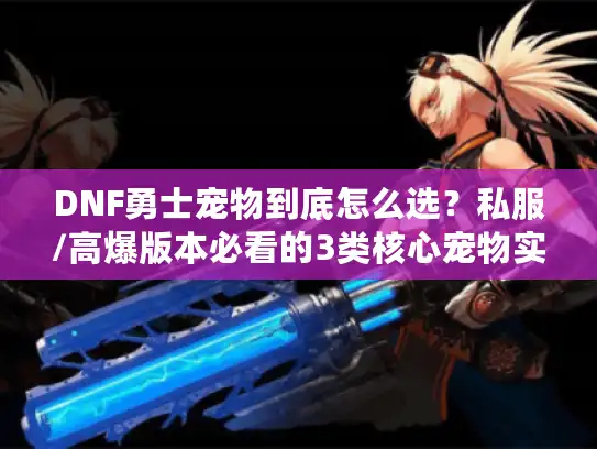 DNF勇士宠物到底怎么选？私服/高爆版本必看的3类核心宠物实战测试