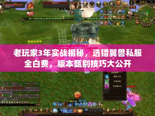 老玩家3年实战揭秘，选错翼兽私服全白费，版本甄别技巧大公开