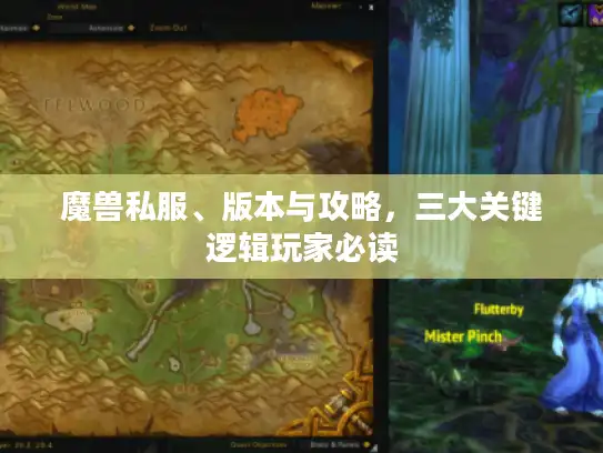 魔兽私服、版本与攻略，三大关键逻辑玩家必读