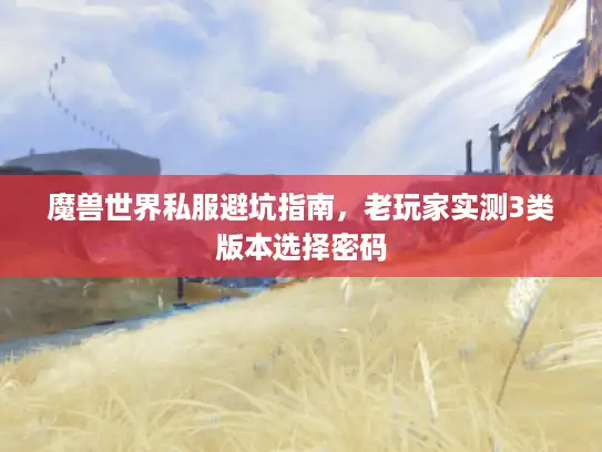 魔兽世界私服避坑指南，老玩家实测3类版本选择密码