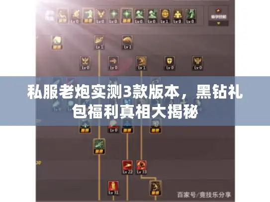 私服老炮实测3款版本，黑钻礼包福利真相大揭秘