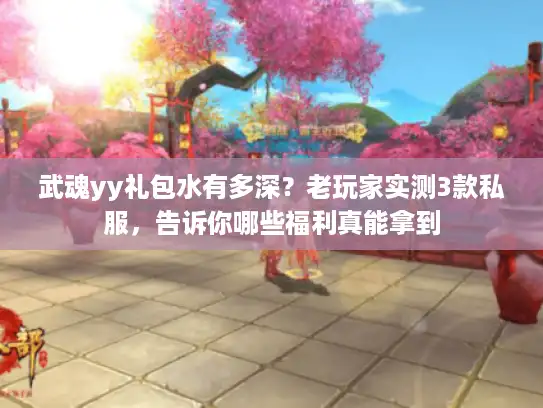 武魂yy礼包水有多深？老玩家实测3款私服，告诉你哪些福利真能拿到