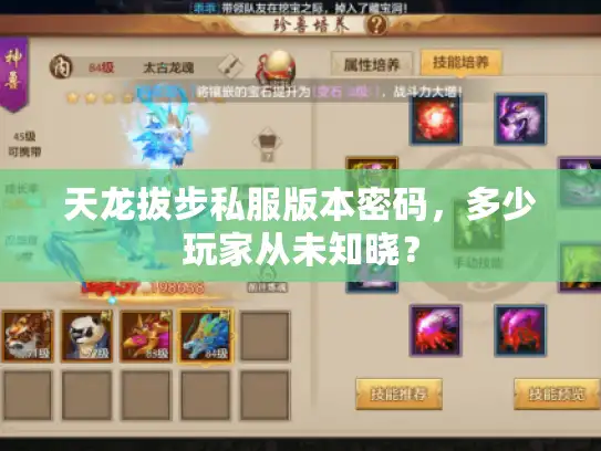 天龙拔步私服版本密码，多少玩家从未知晓？