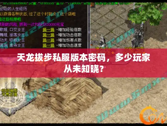 天龙拔步私服版本密码，多少玩家从未知晓？