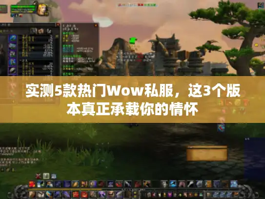 实测5款热门Wow私服，这3个版本真正承载你的情怀